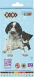 Упаковка олівців кольорових ZiBi Dogs&Cats 12 кольорів Шестигранні х 2 ште (ZB.2427.2) - зображення 2