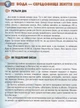 Энциклопедия для пытливых Жители морей и океанов 17х22,5см 96стр (укр) арт.0318 - изображение 10