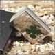 Запальничка Zippo 24699 FOUR LEAF CLOVER THUMBPRINT HIGH POLISH CHROME - изображение 3