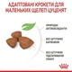 Сухий корм для цуценят Royal Canin X-Small Puppy 0.8кг - изображение 4