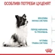 Сухий корм для цуценят Royal Canin X-Small Puppy 0.8кг - изображение 2