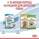 Сухий корм для цуценят Royal Canin X-Small Puppy 0.8кг - изображение 5