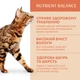 Вологий корм для котів Optimeal Adult 85 г - кролик - изображение 3