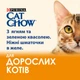 Вологий корм для котів Cat Chow Adult 85 г - ягня та квасоля - изображение 2