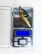 Воблер на хижака Bukhara SM Сrescent 63мм 10.1g Glitter BGYO з трійниками - зображення 3