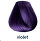 Краска для волос Pro.Color Creativity Violet 100 мл (8051566440818) - изображение 3