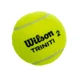 М'ячі для великого тенісу Wilson Triniti 3 шт салатовий WRT125200 - зображення 3
