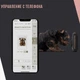 Камера моментального друку Fujifilm Hybrid Instax Mini LiPlay Elegant Black (з чохлом) чорна Holdiay Gift Set - зображення 6