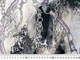 Тканина Атлас-шифон ремінці, бузковий на сірому, пог. м. (ю6, 32907, д34 цв2) - зображення 5
