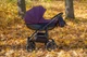 Детская коляска 2 в 1 Angelina Discovery Evolution фиолетовая DE-22 - изображение 5