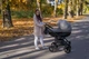 Детская коляска 2 в 1 Angelina Discovery Evolution светло-серый DE-19 - изображение 4