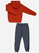 Спортивний костюм Mickey Mouse Disney 98 см (3 роки) MC18360 Сіро-червоний 8691109929327 - зображення 4