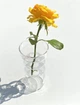 Ваза стеклянная REMY-DECOR Стелла прозрачная 14 см - изображение 4