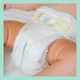 Подгузники Pampers Premium Care Размер 5 Heart Quilts 136 штук Maxi 11-16 кг Мягкие - изображение 4