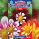 Семена Георгина Коларетта Денди Florium (726663) - изображение 3