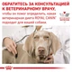 Вологий корм Royal Canin Gastrointestinal для собак при розладах травлення 12x400 г (9003579309445) - зображення 7