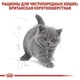 Сухий корм для кошенят Royal Canin British Shorthair Kitten, 2кг+ 400г - зображення 4