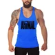 Мужская майка для бодибилдинга ANIMAL Pink Hero синяя11908-2 L - изображение 1
