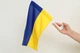 Прапор України (пара) на авто - изображение 2