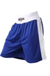 Шорти BERSERK SPORT Boxing L blue (FS1211BLU) - зображення 5