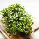Семена Микрозелень Редис Красная Сангрия Florium (718075) - изображение 2