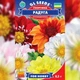 Семена Георгина Радуга Florium (726665) - изображение 2