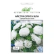 Астра Сірінга Біла Florium - зображення 2