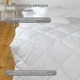 Одеяло ТЕП Лебединый пух 180x210 (4820241220472) - изображение 5