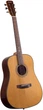 Акустическая гитара Prima DSAG219 Acoustic Guitar - изображение 2