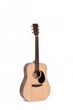 Акустическая гитара Ditson D-10 - изображение 1