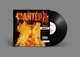 Виниловая Пластинка Pantera - Reinventing The Steel 180 Gram - изображение 3
