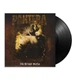 Виниловая пластинка Pantera - Far Beyond Driven (2LP) - изображение 3