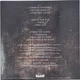 Виниловая пластинка&nbsp;Pantera – 1990-2000: A Decade Of Domination (2LP) Black Ice Transparent Vinyl - изображение 3