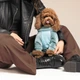 Комбінезон для собак Pet Fashion «COMFORT» XS-2 - изображение 6