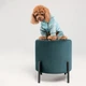 Комбінезон для собак Pet Fashion «COMFORT» XS - зображення 6