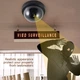 Муляж купольной камеры видеонаблюдения с красным диодом CAMERA BALL 6688 Черный - изображение 3