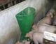 Кормушка бункерная 6 кг для поросят, свиней OK Plast Дания (20347) - изображение 3