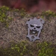 Мультитул SOG MacV Tool Чорний - изображение 4