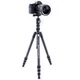 Штатив Vanguard Vesta TB 204CB (Vesta TB 204CB) - зображення 6