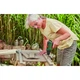 Шуруповерт Bosch EasyDrill 1200, 12В, 1х1.5Ач, ЗУ, кейс (0.603.9D3.006) - изображение 5