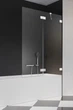 Стеклянная шторка для ванны RADAWAY Essenza Pro White PND II 120 правая 10102120-04-01R - изображение 1