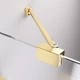 Скляна шторка для ванни RADAWAY Essenza Pro PNJ 80 см Gold 10101080-09-01 - зображення 5