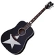 Акустична гітара із підключенням SCHECTER RS-1000 STAGE ACOUSTIC - зображення 1