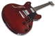 Електроакустична гітара SCHECTER CORSAIR TOM GWAL - зображення 3