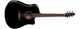Электроакустическая гитара SEAGULL 034208 Entourage CW Black GT QI - изображение 2