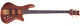 Бас-гітара чотириструнна, віялові лади SCHECTER STILETTO STUDIO-4 FF HSN - зображення 2