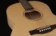 Акустична гітара із підключенням Simon&Patrick 039739 Trek Nat Folk Solid Spruce SG EQ - зображення 4