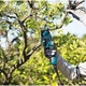 Аккумуляторный секатор Makita DUP361Z LXT 18В+18В 33мм электрические ручные садовые ножницы (4229) - изображение 15