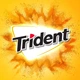 Блок жуйок Trident Tropical Twist 12 шт - зображення 3