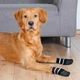 Захисні шкарпетки для собак Trixie XS-S 2шт. чорні (TX-19521) - зображення 2